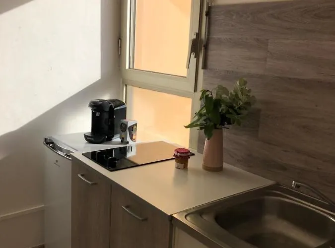 公寓 Spacieux Lumineux Proche Du Centre 阿雅克肖