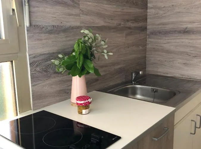 Spacieux Lumineux Proche Du Centre 公寓 阿雅克肖