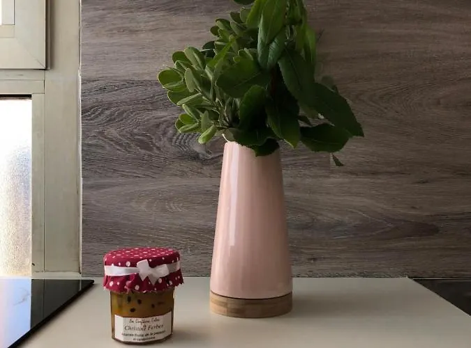 Spacieux Lumineux Proche Du Centre * 阿雅克肖